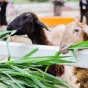 搜索 - 28圈xinanjie
